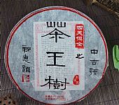 四美俱全之茶王樹2013