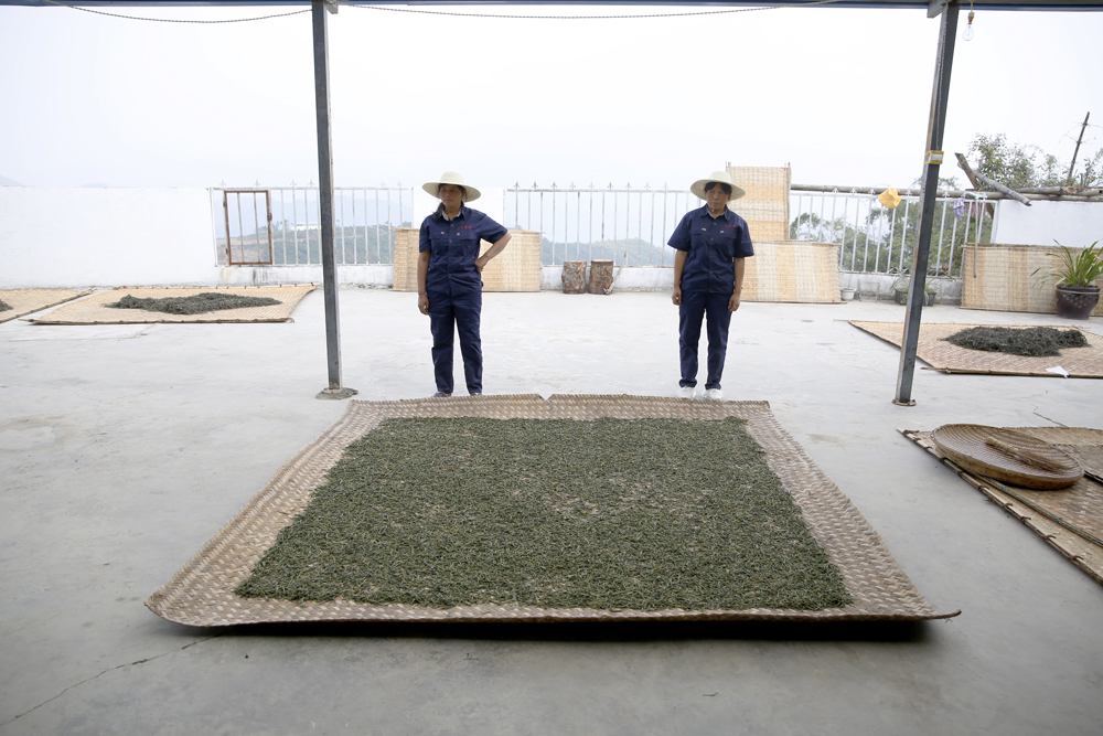 中吉號(hào)昔歸茶廠（二）