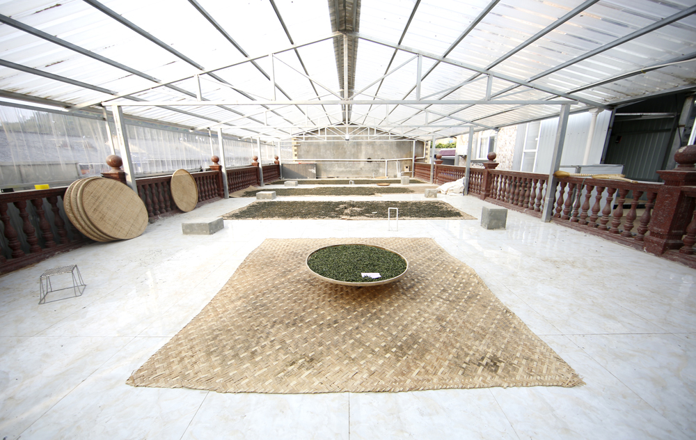 中吉號(hào)冰島茶廠