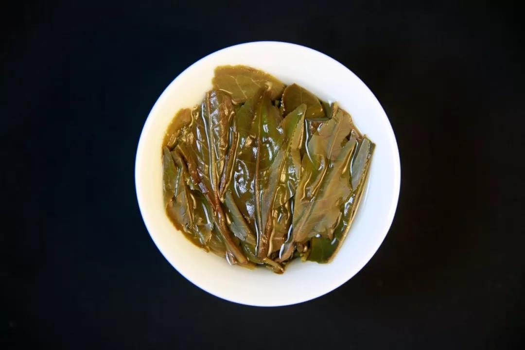 豬年生肖茶生財