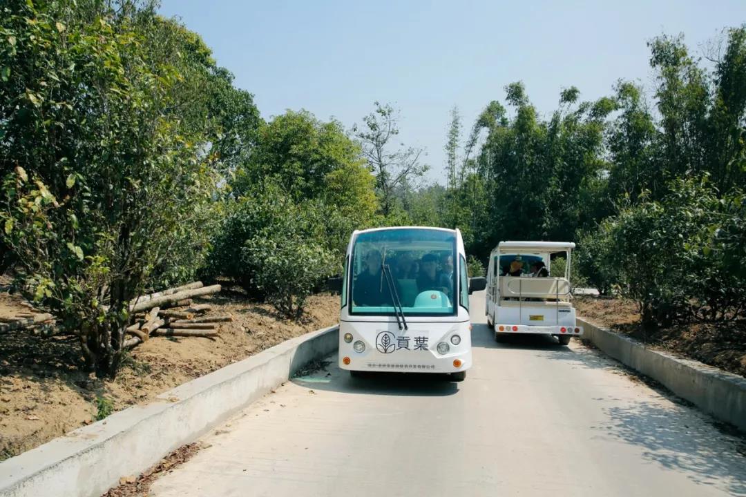 中吉號(hào)老班章展廳