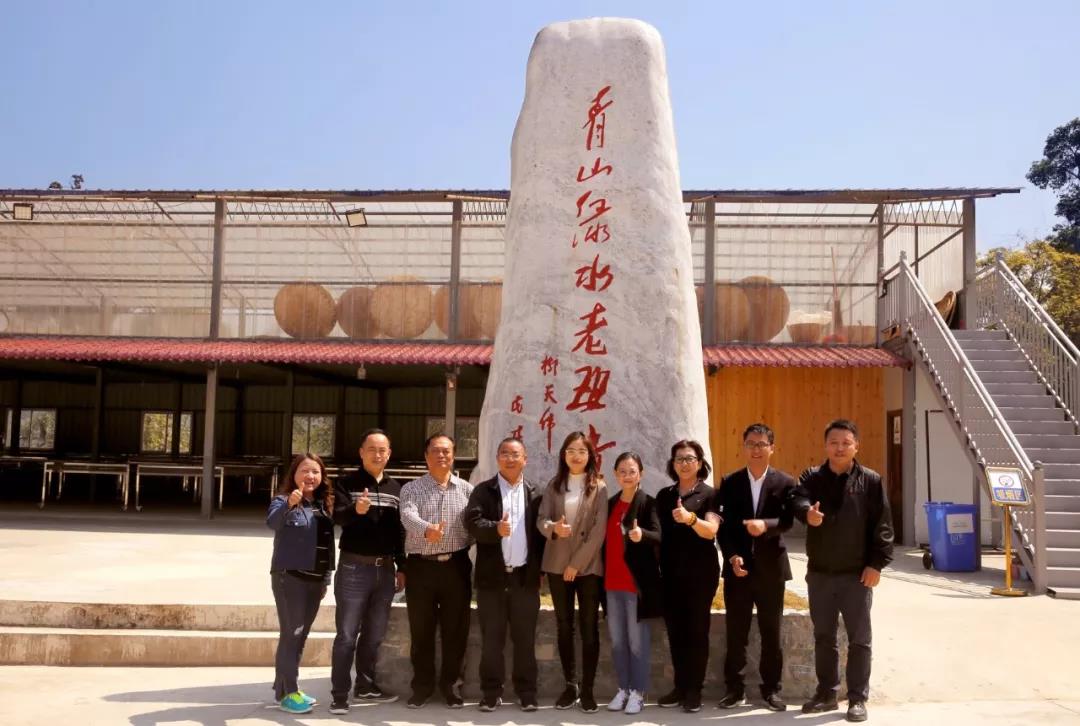 中吉號(hào)老班章展廳