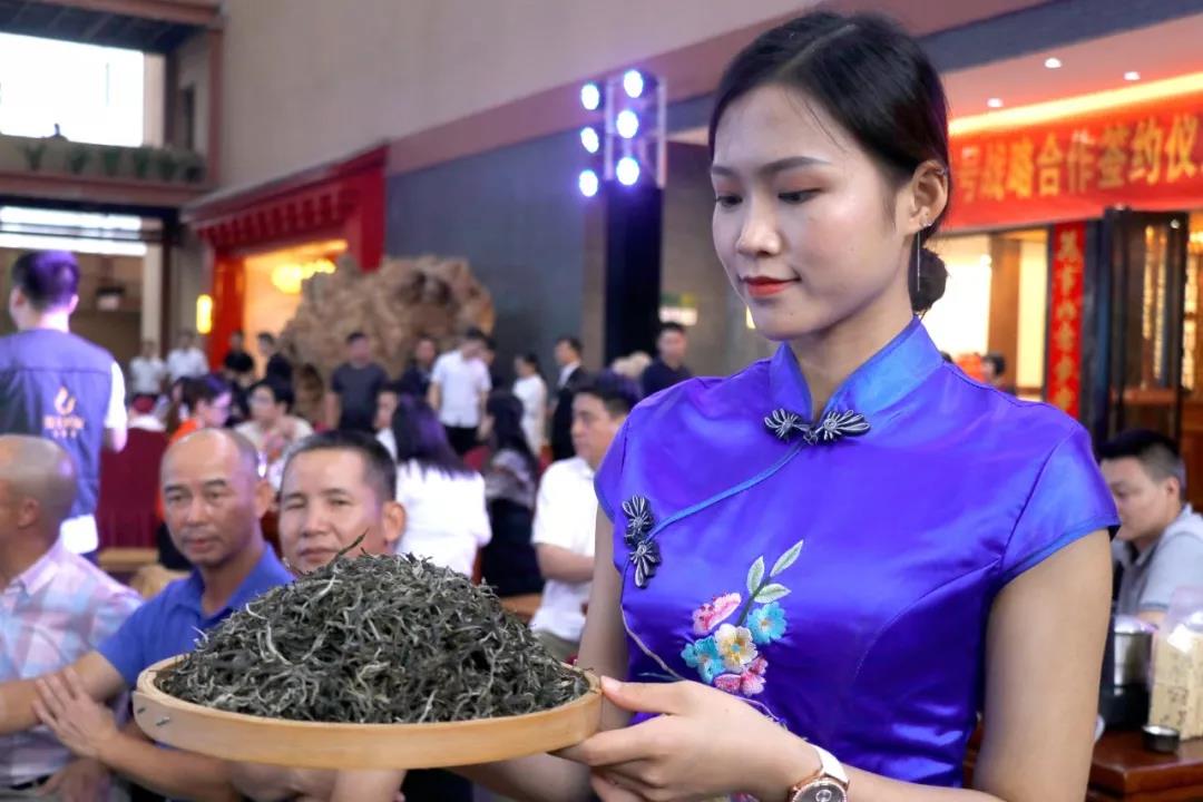 中吉號(hào)老班章東莞?jìng)}儲(chǔ)