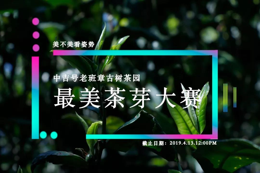 老班章普洱茶